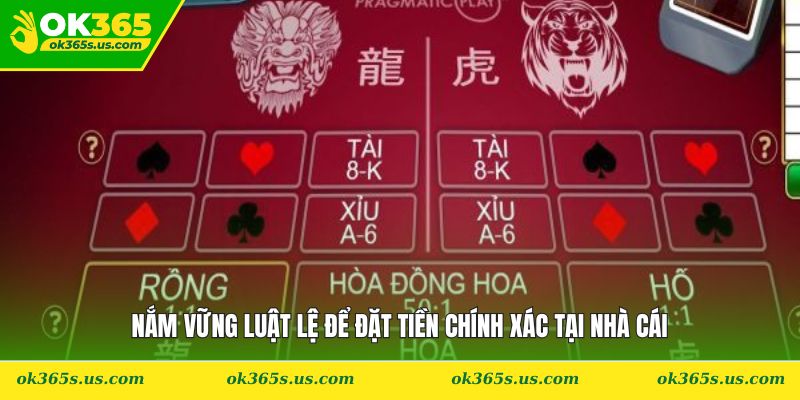 Nắm vững luật lệ để đặt tiền chính xác tại nhà cái