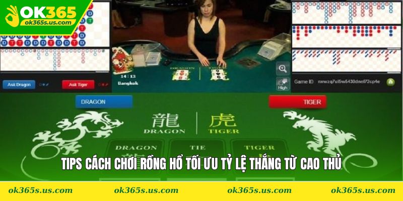 Tips cách chơi Rồng Hổ tối ưu tỷ lệ thắng từ cao thủ